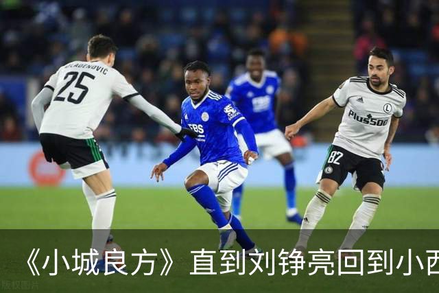 《小城良方》直到刘铮亮回到小西门，才明白龙冬冬有多厉害