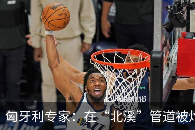 匈牙利专家：在“北溪”管道被炸毁后，德国对乌的支持是不正常的