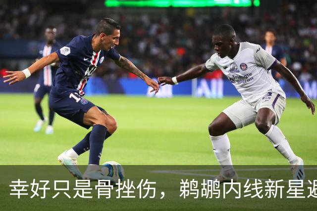 幸好只是骨挫伤，鹈鹕内线新星避免了重大伤病的发生？